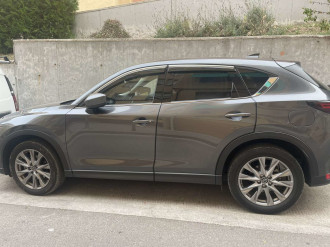 Дефлектори вікон