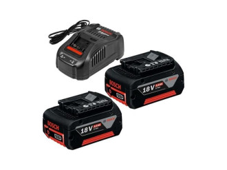 Набір акумуляторів + зарядний пристрій Bosch 1600A00B8J