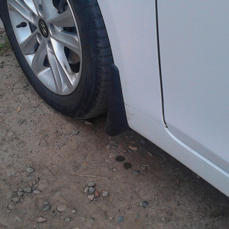 Бризковики передні (комплект)