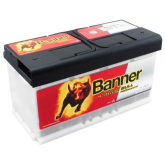 Батарея акумуляторна 100(Ач) BANNER