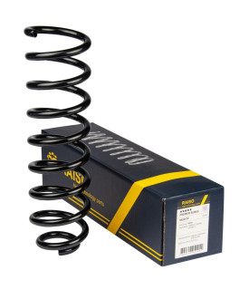 Пружина задня RAISO SR245TP